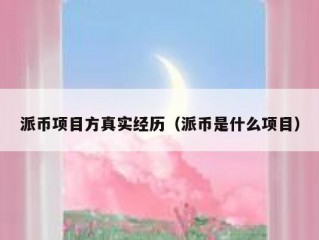 派币项目方真实经历（派币是什么项目）