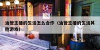 油管主播的生活怎么合作（油管主播的生活其他游戏）