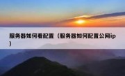 服务器如何看配置（服务器如何配置公网ip）