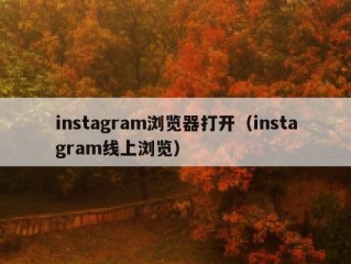 instagram浏览器打开（instagram线上浏览）