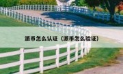 派币怎么认证（派币怎么验证）