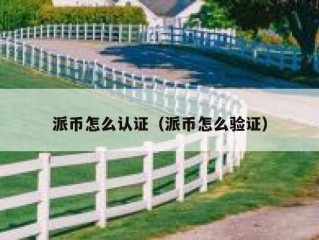 派币怎么认证（派币怎么验证）
