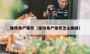推特用户推荐（推特用户推荐怎么删除）
