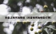 抖音上如何加粉丝（抖音如何加粉丝灯牌）