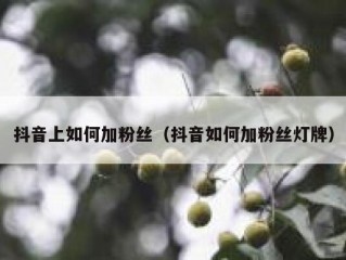 抖音上如何加粉丝（抖音如何加粉丝灯牌）