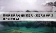 最新反黑反贪电视剧王志文（王志文主演的谍战片叫逆什么）