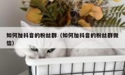 如何加抖音的粉丝群（如何加抖音的粉丝群微信）
