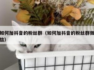如何加抖音的粉丝群（如何加抖音的粉丝群微信）