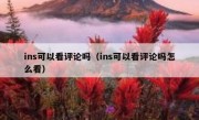 ins可以看评论吗（ins可以看评论吗怎么看）