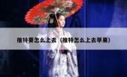 推特要怎么上去（推特怎么上去苹果）