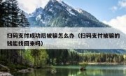 扫码支付成功后被骗怎么办（扫码支付被骗的钱能找回来吗）