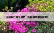 全国限行限号城市（全国哪里限行限号）