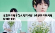 北京限号开车怎么处罚成都（成都限号期间开车如何处罚）