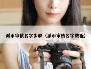 派币审核名字步骤（派币审核名字教程）