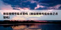 微信视频号能点赞吗（微信视频号能给自己点赞吗）