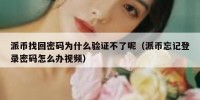 派币找回密码为什么验证不了呢（派币忘记登录密码怎么办视频）