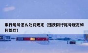 限行尾号怎么处罚规定（违反限行尾号规定如何处罚）
