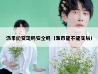派币能变现吗安全吗（派币能不能交易）