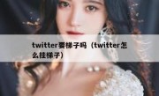 twitter要梯子吗（twitter怎么挂梯子）