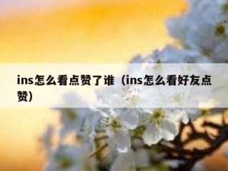 ins怎么看点赞了谁（ins怎么看好友点赞）