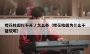 樱花校园打不开了怎么办（樱花校园为什么不能玩呢）