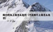 限行的车上路怎么处罚（汽车限行上路怎么处罚）