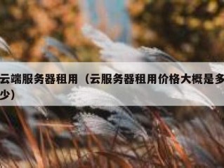 云端服务器租用（云服务器租用价格大概是多少）