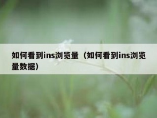 如何看到ins浏览量（如何看到ins浏览量数据）