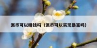 派币可以赚钱吗（派币可以实现暴富吗）