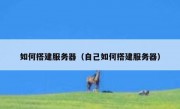 如何搭建服务器（自己如何搭建服务器）