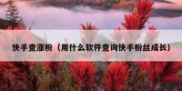 快手查涨粉（用什么软件查询快手粉丝成长）
