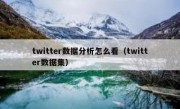 twitter数据分析怎么看（twitter数据集）