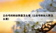 公众号的粉丝数量怎么看（公众号粉丝人数怎么看）