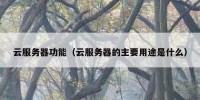 云服务器功能（云服务器的主要用途是什么）
