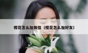 樱花怎么加微信（樱花怎么加好友）
