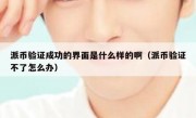 派币验证成功的界面是什么样的啊（派币验证不了怎么办）