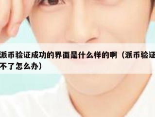 派币验证成功的界面是什么样的啊（派币验证不了怎么办）