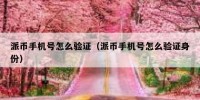 派币手机号怎么验证（派币手机号怎么验证身份）