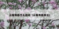 云服务器怎么启动（云服务器用法）