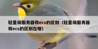 轻量级服务器和ecs的区别（轻量级服务器和ecs的区别在哪）