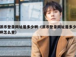 派币登录网址是多少啊（派币登录网址是多少啊怎么查）