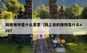 网络推特是什么意思（网上说的推特是什么app）