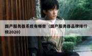 国产服务器系统有哪些（国产服务器品牌排行榜2020）