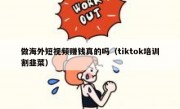 做海外短视频赚钱真的吗（tiktok培训割韭菜）