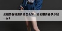 云服务器租用价格怎么算（租云服务器多少钱一台）