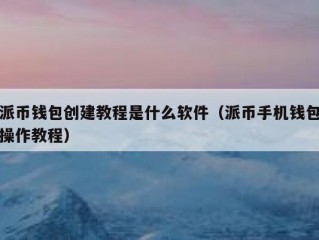 派币钱包创建教程是什么软件（派币手机钱包操作教程）