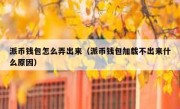 派币钱包怎么弄出来（派币钱包加载不出来什么原因）