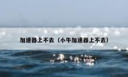 加速器上不去（小牛加速器上不去）