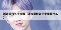 派币审核名字步骤（派币审核名字步骤是什么）