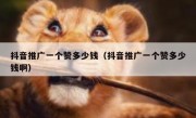 抖音推广一个赞多少钱（抖音推广一个赞多少钱啊）